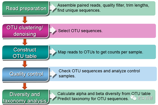 Microbiome: 环境样品中微生物群落物种丰度绝对定量生信分析方法的实现