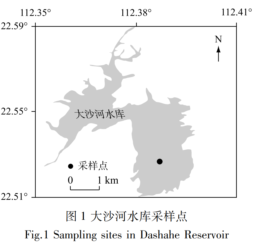 铁对拟柱孢藻(Cylindrospermopsis raciborskii)和角星鼓藻(Staurastrum spp.)季节动态和生长的影响——以广东大沙河水库为例