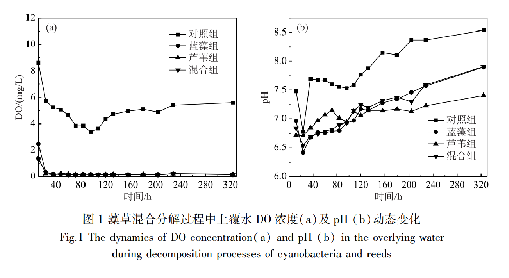 富营养化湖泊蓝藻-芦苇碎屑堆积分解过程及其潜在的共代谢效应