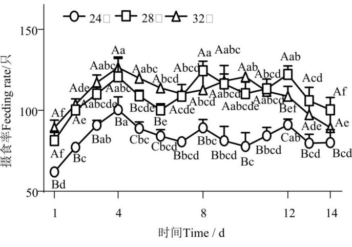 环境因素对盾形陀螺珊瑚摄食及共生藻光合生理的影响